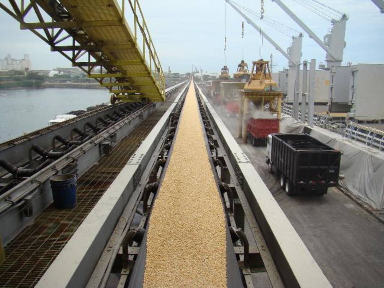 El Salvador recibe 33,000 toneladas de maíz gracias al Plan de Seguridad Alimentaria del Presidente Bukele el-salvador-recibe-33000-toneladas-de-maiz-gracias-al-plan-de-seguridad-alimentaria-del-presidente-bukele